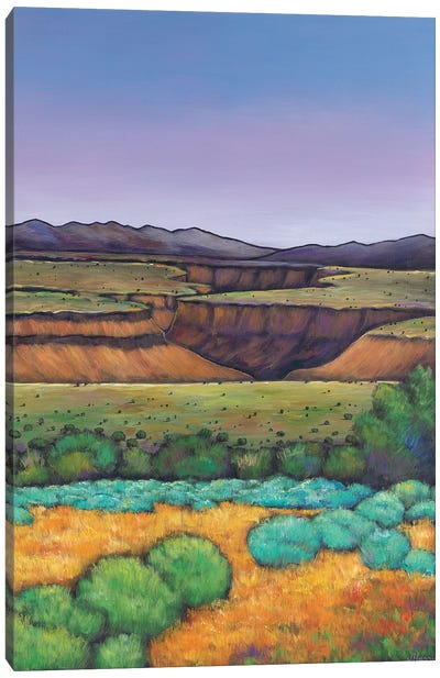 Desert Gorge Canvas Art Print - Canyon Art