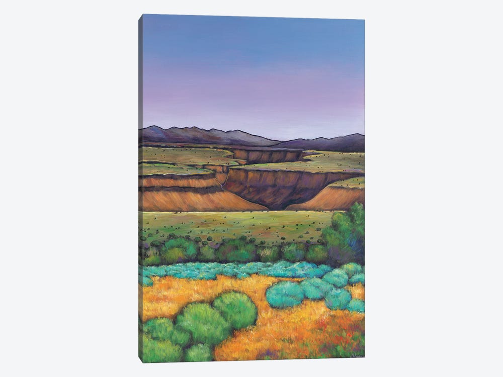 Desert Gorge by Johnathan Harris 1-piece Art Print