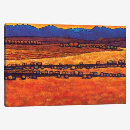 Desert Harmony Canvas Print #JHR24} by Johnathan Harris Canvas Art
