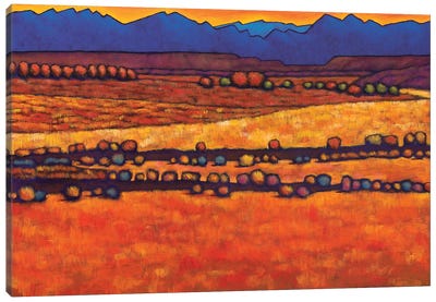Desert Harmony Canvas Art Print - Orange