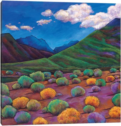 Desert Valley Canvas Art Print - Valley Art