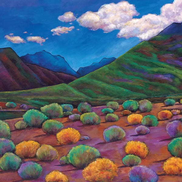 Western Décor: Desert Valley by Johnathan Harris