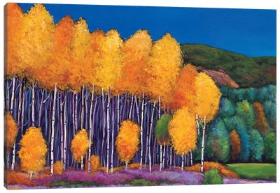 A Moment In Time Canvas Art Print - Aspen Tree Art