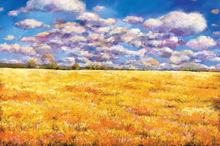 Fields Of Gold by Johnathan Harris wall art