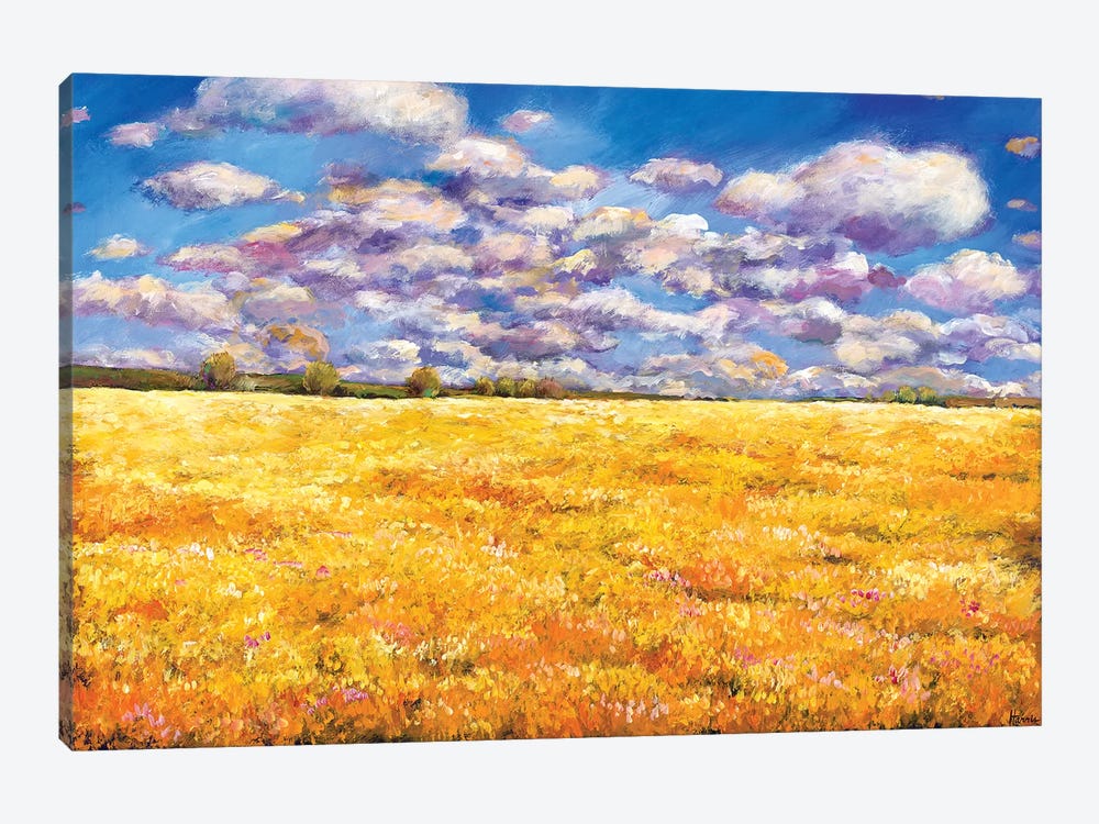 Fields Of Gold by Johnathan Harris 1-piece Canvas Artwork