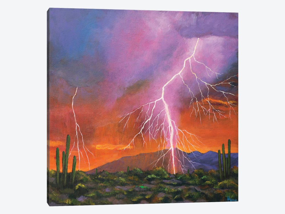 Fire In The Sky by Johnathan Harris 1-piece Canvas Print