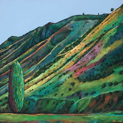 Jackson Hole by Johnathan Harris framed canvas print