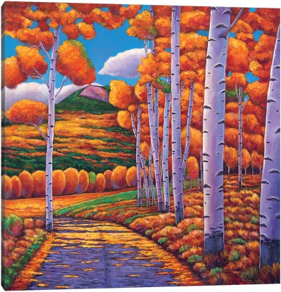 October Enclave Canvas Art Print - Aspen and Birch Trees