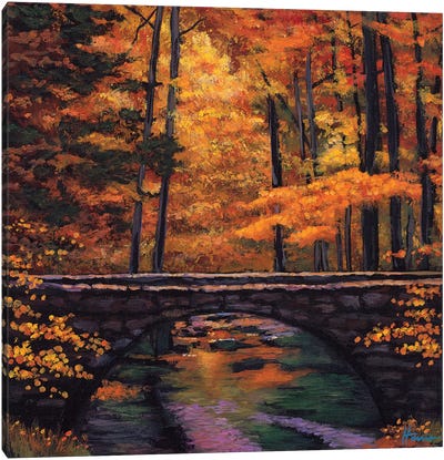 Ozark Stream Canvas Art Print - Bridge Art