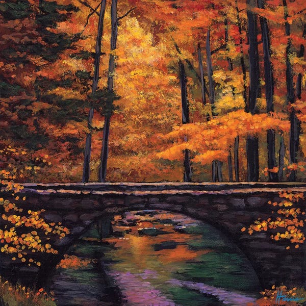 Arkansas: Ozark Stream by Johnathan Harris