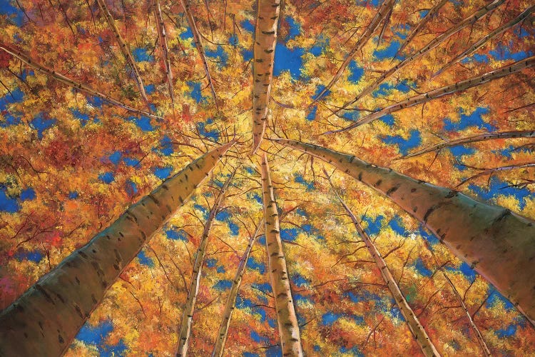 Ascension by Johnathan Harris wall art