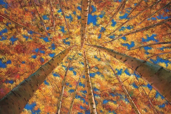 Johnathan Harris: Ascension by Johnathan Harris