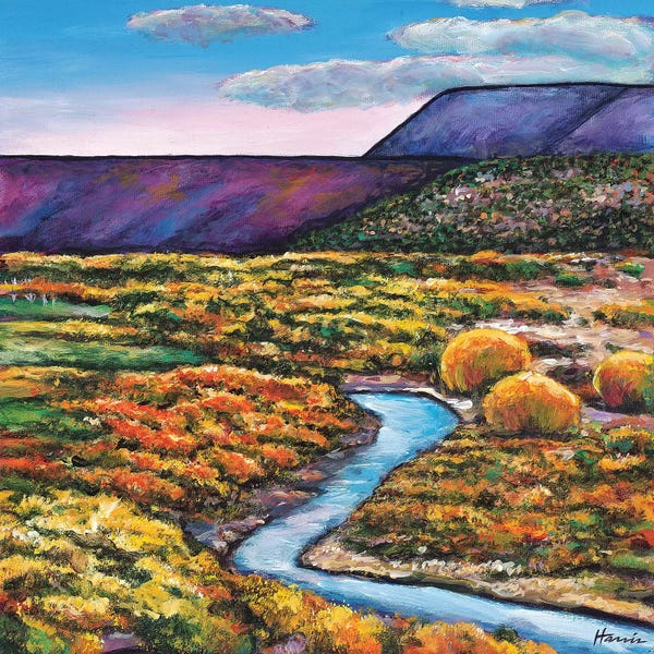 Johnathan Harris: Rio by Johnathan Harris