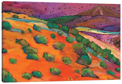 Sage Slopes Canvas Art Print - Johnathan Harris