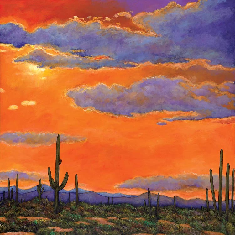 Saguaro Sunset by Johnathan Harris wall art
