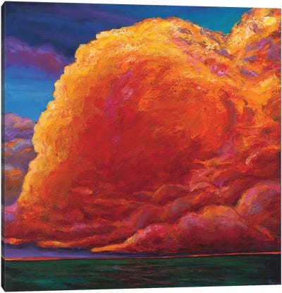 Skydance Canvas Art Print - Cloudy Sunset Art