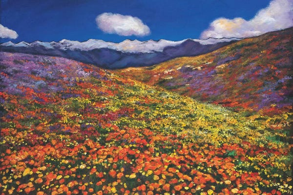 Johnathan Harris: Solitude Under Azure Skies by Johnathan Harris