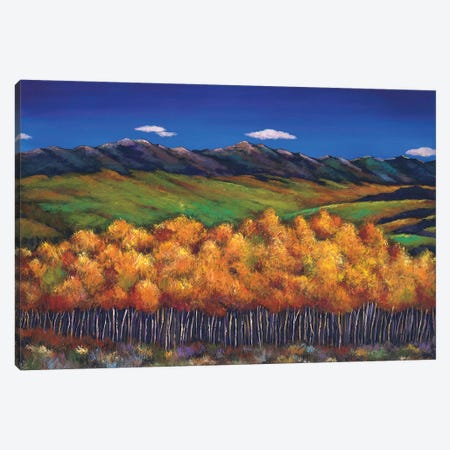 Aspen In The Wind Canvas Print #JHR5} by Johnathan Harris Canvas Print