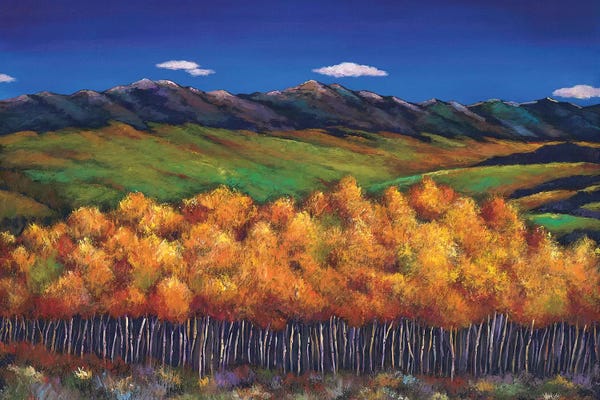 Aspen Trees: Aspen In The Wind by Johnathan Harris