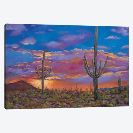 Southern Arizona Evening Canvas Print #JHR60} by Johnathan Harris Art Print