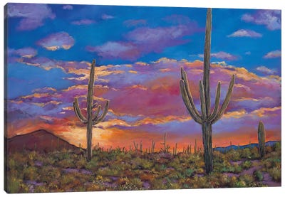 Southern Arizona Evening Canvas Art Print - Cactus Art