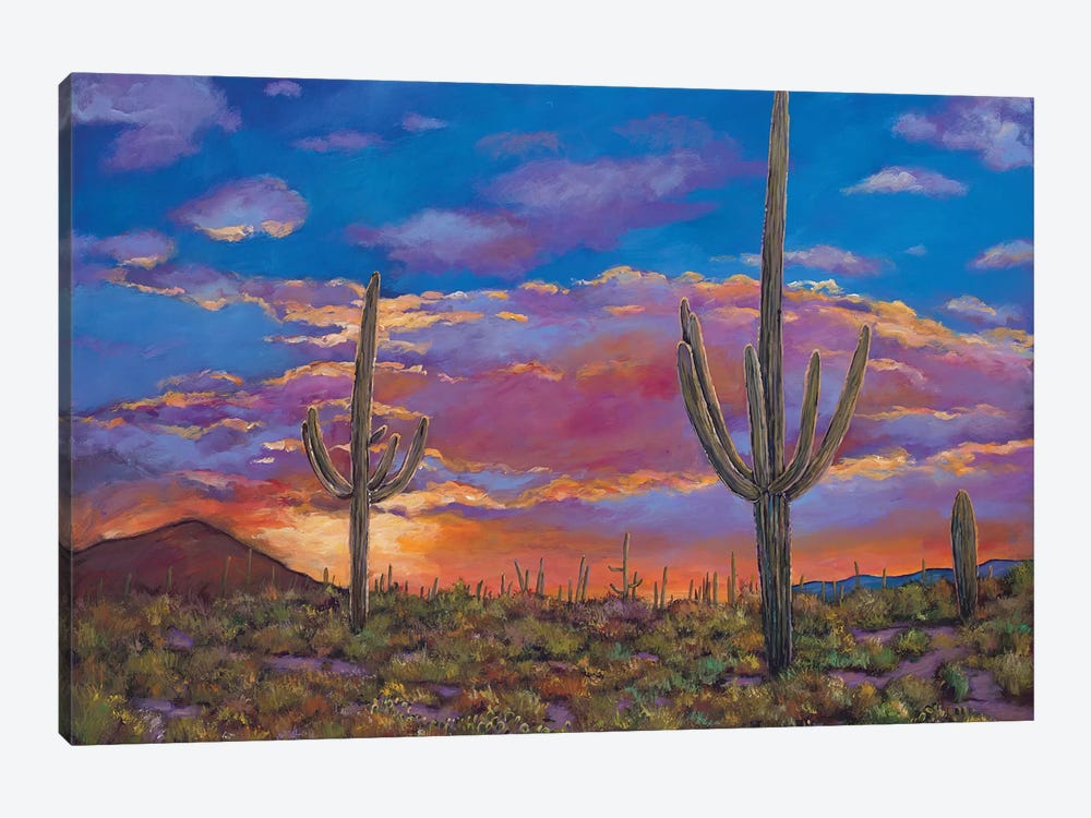 Southern Arizona Evening by Johnathan Harris 1-piece Canvas Art