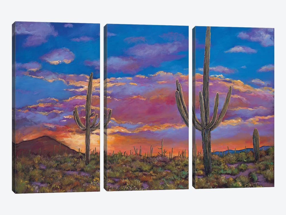 Southern Arizona Evening by Johnathan Harris 3-piece Canvas Artwork