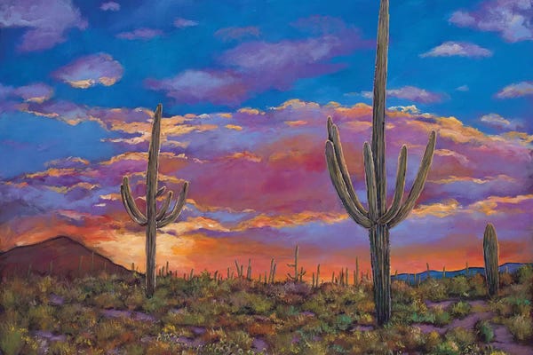 Southern Arizona Evening