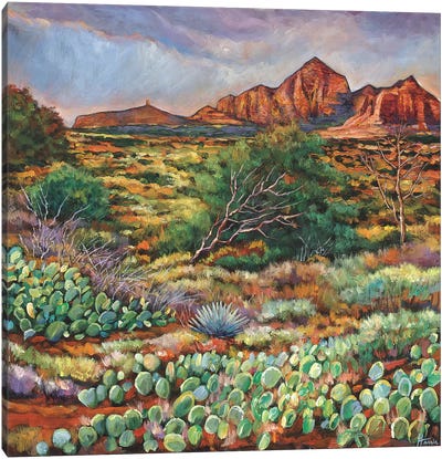Surrounded By Sedona Canvas Art Print - Desert Art