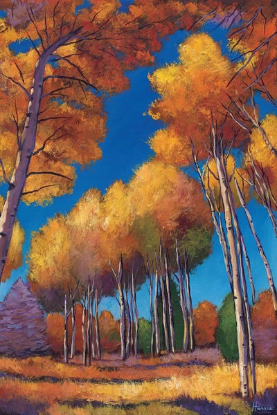 Johnathan Harris: Up And Away by Johnathan Harris