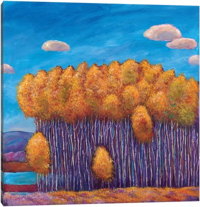 Wait And See Canvas Art Print - Aspen Tree Art