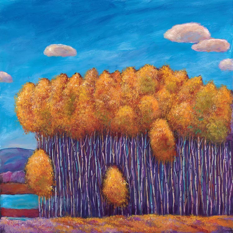 Wait And See by Johnathan Harris wall art