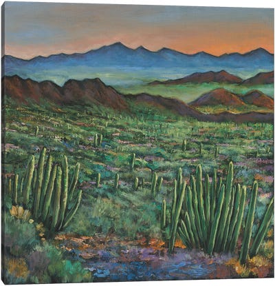 Westward Canvas Art Print - Cactus Art