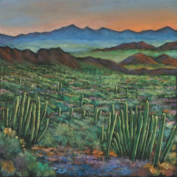 Western Décor: Westward by Johnathan Harris