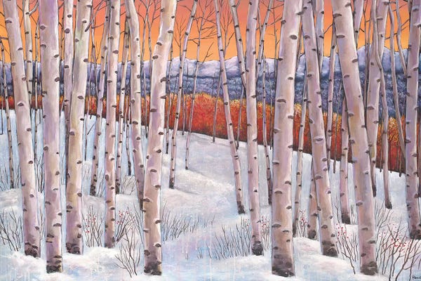 Cabin & Lodge Décor: Winters Dream by Johnathan Harris