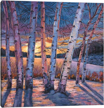 Wish You Were Here Canvas Art Print - Aspen and Birch Trees