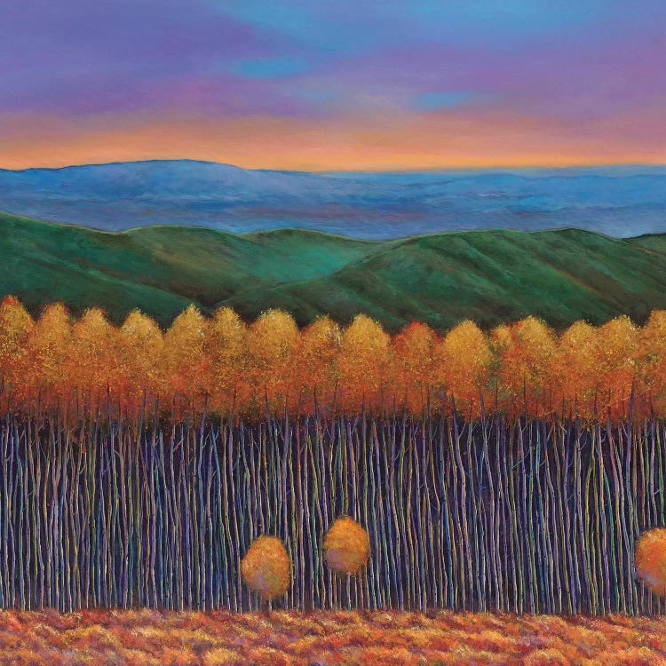 Aspen Perspective by Johnathan Harris wall art