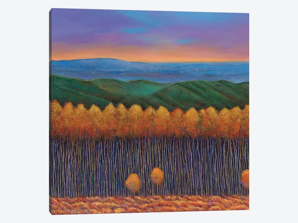 Aspen Perspective by Johnathan Harris 1-piece Canvas Print