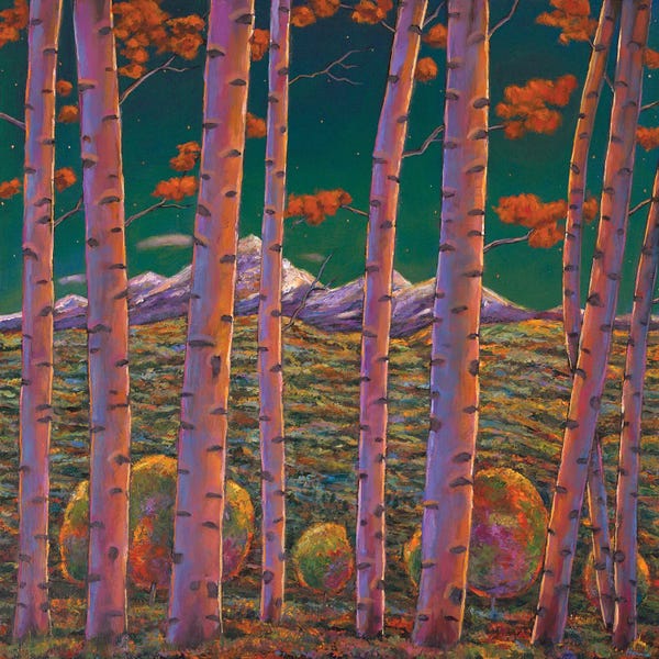 Aspen Trees: Aspen At Night by Johnathan Harris