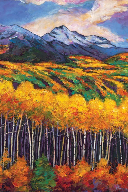 Aspen Ridge by Johnathan Harris wall art