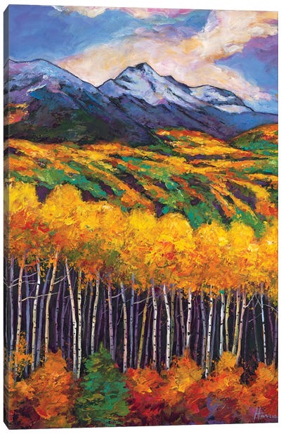 Aspen Ridge Canvas Art Print - Johnathan Harris