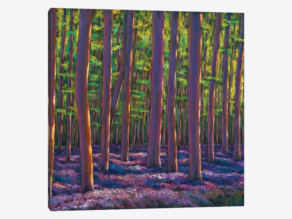 Bluebells And Forest by Johnathan Harris 1-piece Canvas Art Print