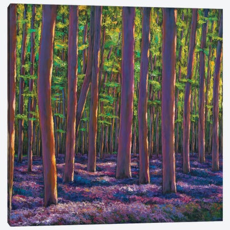 Bluebells And Forest Canvas Print #JHR72} by Johnathan Harris Canvas Artwork