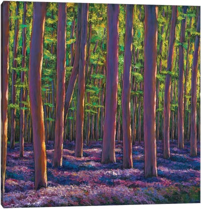 Bluebells And Forest Canvas Art Print - Johnathan Harris