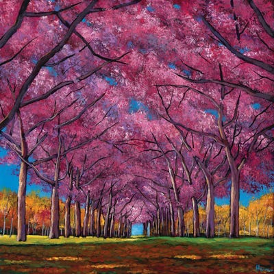 Cherry Lane by Johnathan Harris framed canvas print