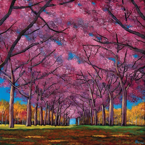 Cherry Trees: Cherry Lane by Johnathan Harris