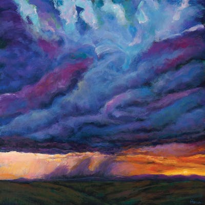 Desert Rain by Johnathan Harris canvas print