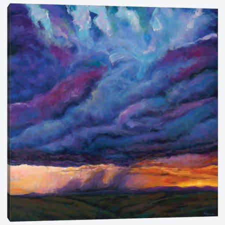 Desert Rain Canvas Print #JHR74} by Johnathan Harris Canvas Art Print