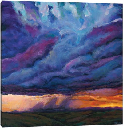 Desert Rain Canvas Art Print - Johnathan Harris