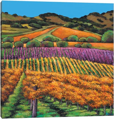 Napa Canvas Art Print - Vineyard Art